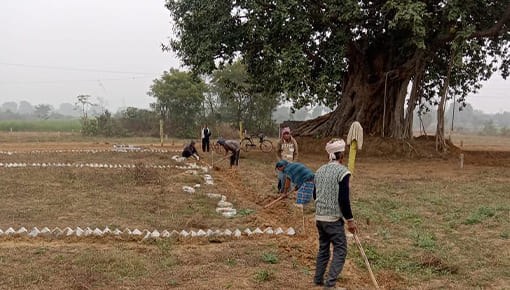 starindiaconstruction