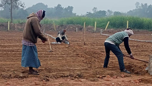 starindiaconstruction